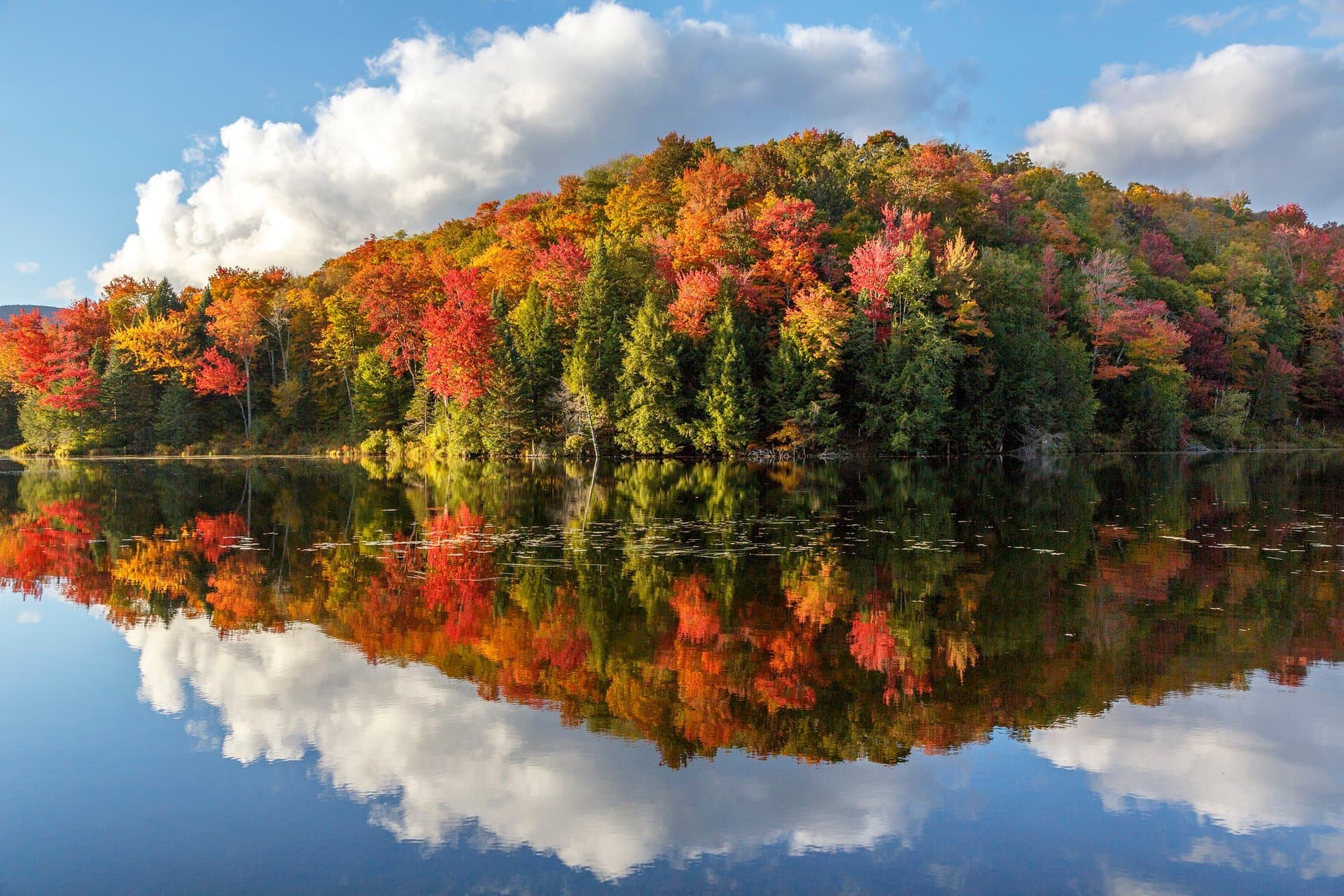 Vermont fall foliage